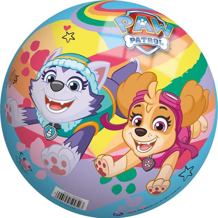 Actual product image John Paw Patrol