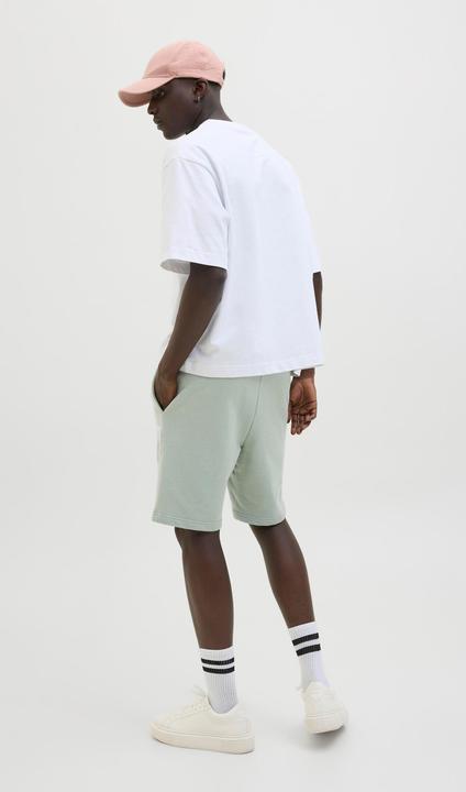 Immagine prodotto Jack & Jones Regular Fit Shorts Shorts (XS)