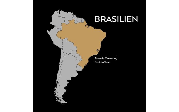 Actual product image Turm Kaffee Demeter Brazil Fazenda Camocim (250 g)