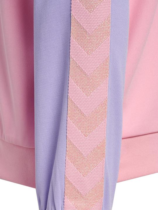 Image du produit hummel hmlDAILY ZIP JACKET (104)
