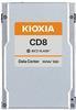 Image du produit Kioxia X134 CD8-R dSDD PCIe U.2 (1920 Go, 2.5")