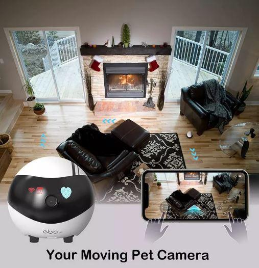 Actual product image Enabot EBO Air (1920 x 1080 Pixels)