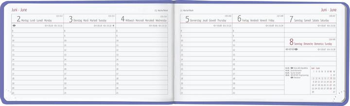 Immagine prodotto Alpha Edition Ladytimer TO GO Deluxe Lavanda 2025 Calendario tascabile, 15,3x8,7cm, Calendario con 128 (Tedesco)