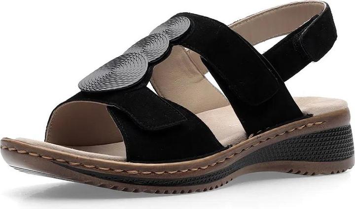 Ara Hawaii (39)