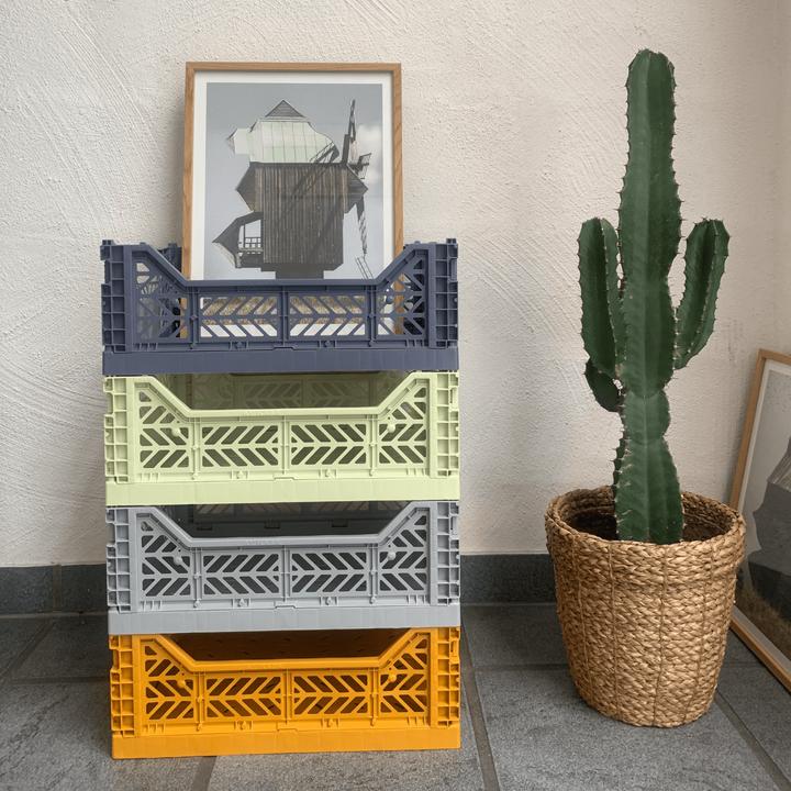 Immagine prodotto Aykasa Tè al latte midi (40 x 30 x 14 cm, 14.50 l)