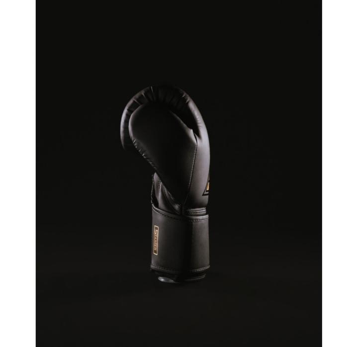 Produktbild MetalBoxe Starter Boxhandschuhe Training (14 OZ)