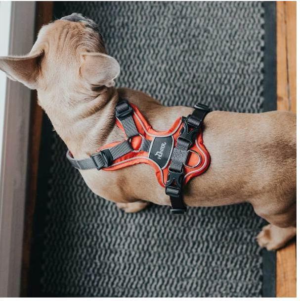 Produktbild Hunter Geschirr Divo (XS, Hund, Allgemein)