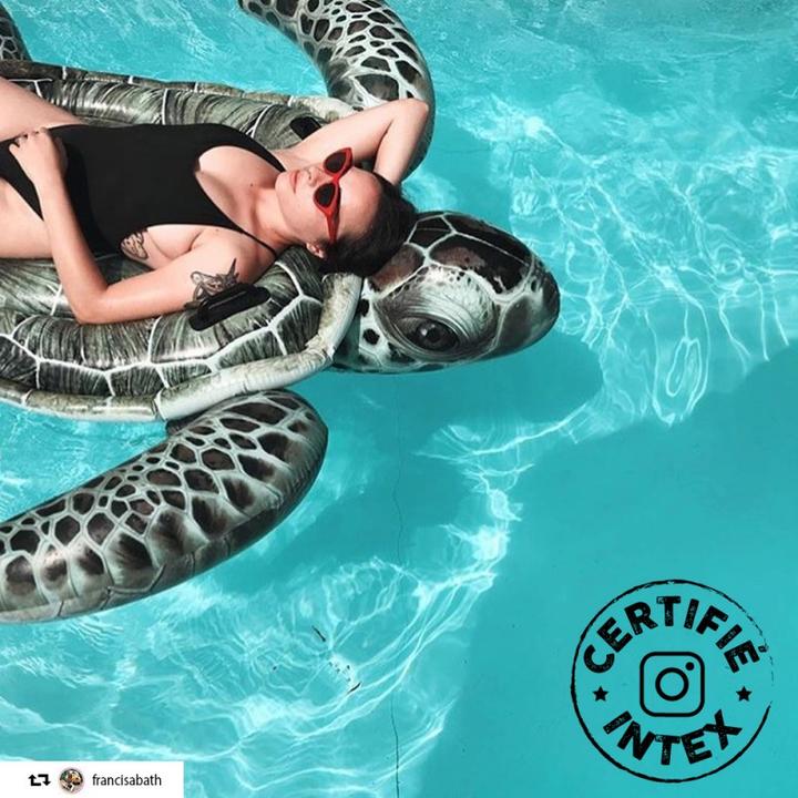 Image du produit Intex Tortue de mer réaliste