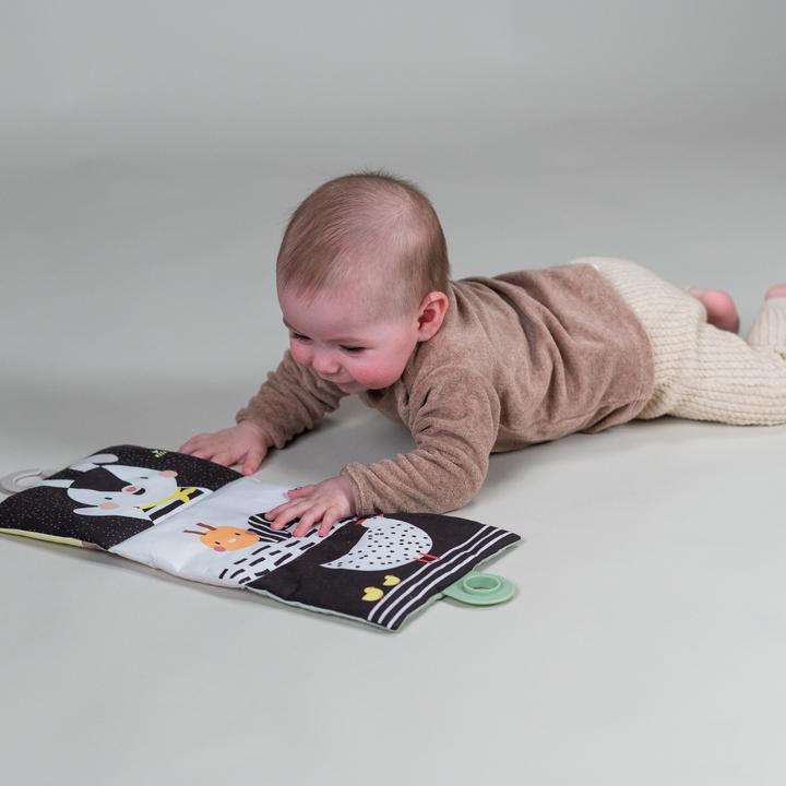 Produktbild Taf Toys Geschenkset Tummy Time