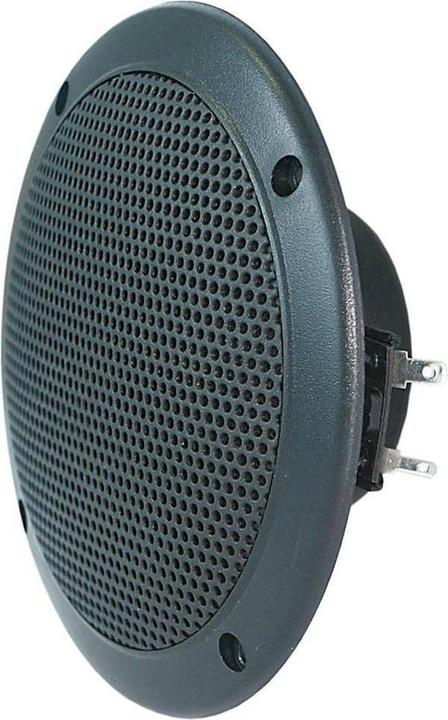 Actual product image Visaton Full range loudspeaker FR 10 WP