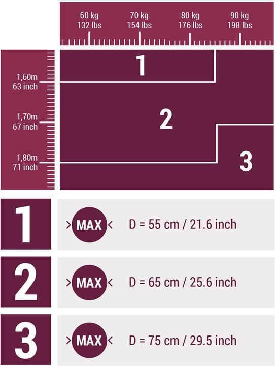 Actual product image Domyos Gym Ball (75 cm)