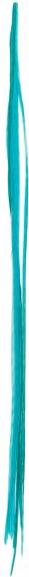 Plume Plumes de cheveux Solid Teal