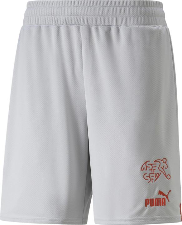Actual product image Puma SFV Shorts Replica (XL)
