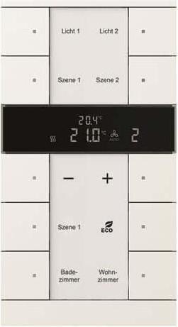 Busch-Jaeger SBR/U10.0.11-884