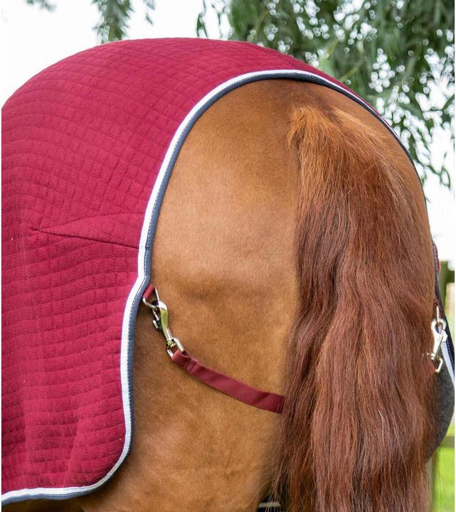 Immagine prodotto Premier Equine Premtex (168 cm)