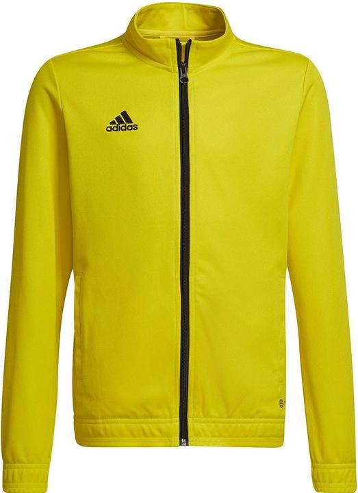 Produktbild adidas Entrada 22 Trainingsjacke Kinder (152)