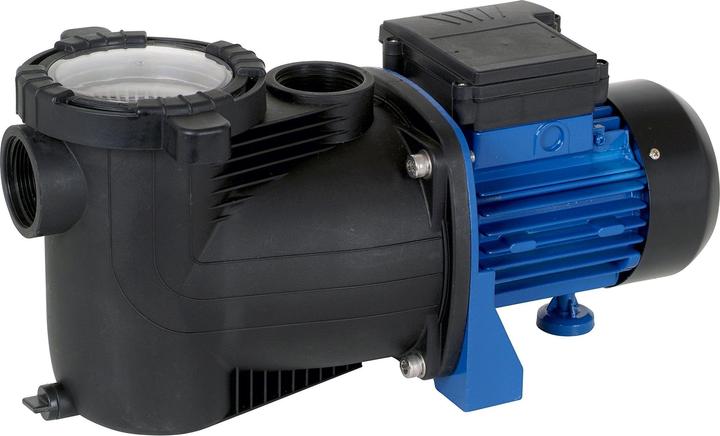 T.I.P. SPP 300 F (Gartenpumpe)
