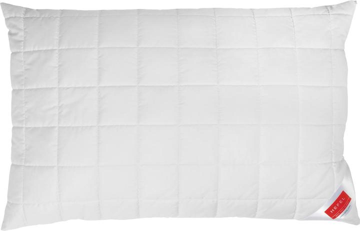 Actual product image Hefel Wellness Swiss Pine Pillow (65 x 100 cm)
