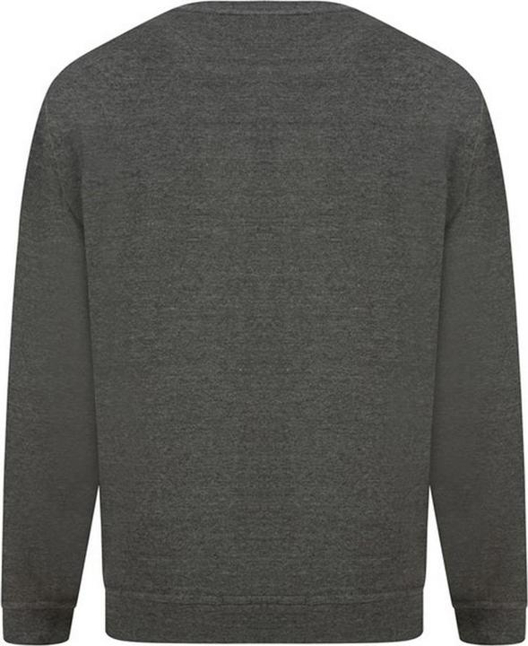 Image du produit Absolute Apparel Pull-over Sterling (L)