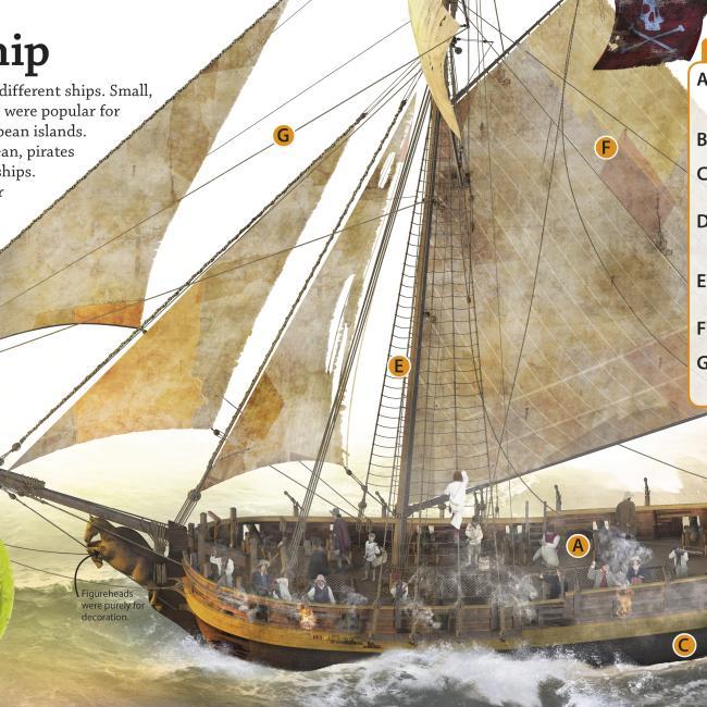 Produktbild DKfindout! Pirates (Englisch, ET, Fox, 2017)