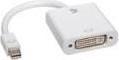 Actual product image V7 Mini DP zu (DVI, 10 cm)