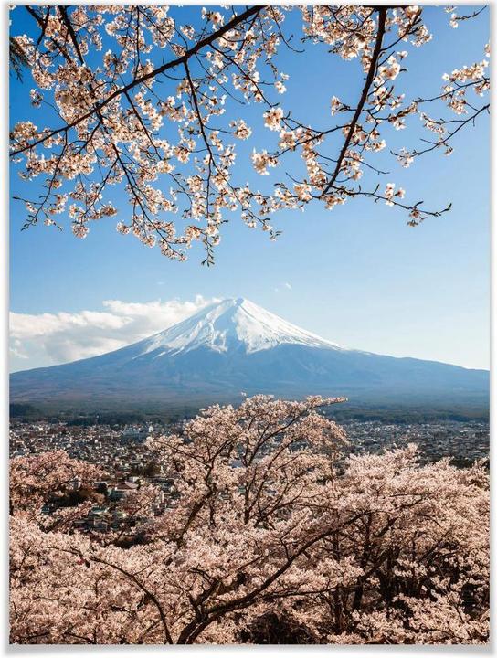 Produktbild Trenddeko Mount Fuji in Japan (100 x 120 cm)