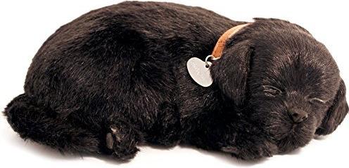 Image du produit Perfect Petzzz Petzzz Soft Black Lab parfait (10 cm)