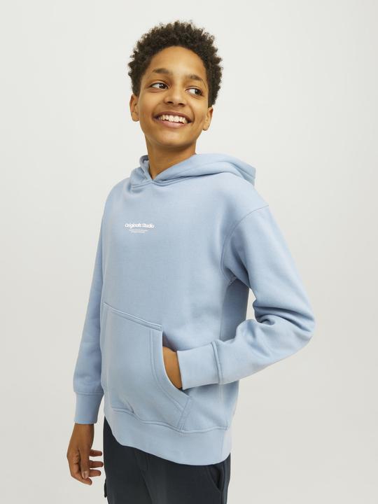 Actual product image Jack & Jones Jorvesterbro Sweat Hood Noos Mni (110)