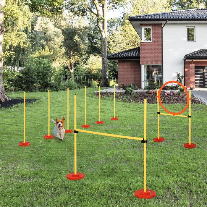 Immagine prodotto Swisshandel24 Set agilità per cani 3 in 1 per l'addestramento giallo (Destrezza)
