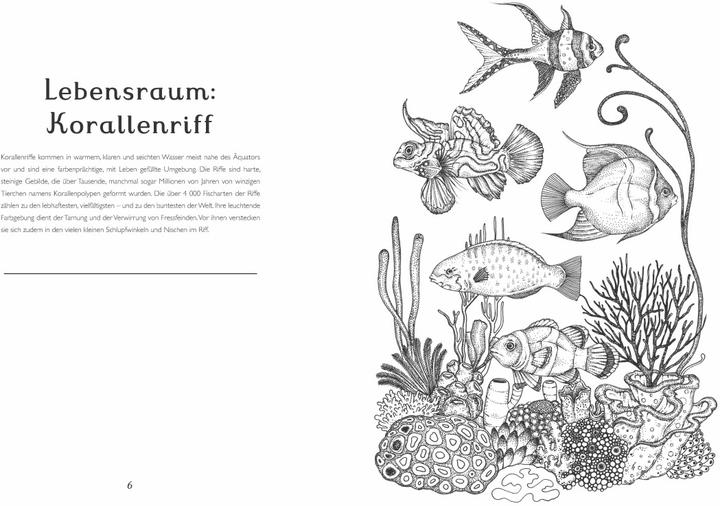 Produktbild Das Museum der Tiere. Mein Malbuch