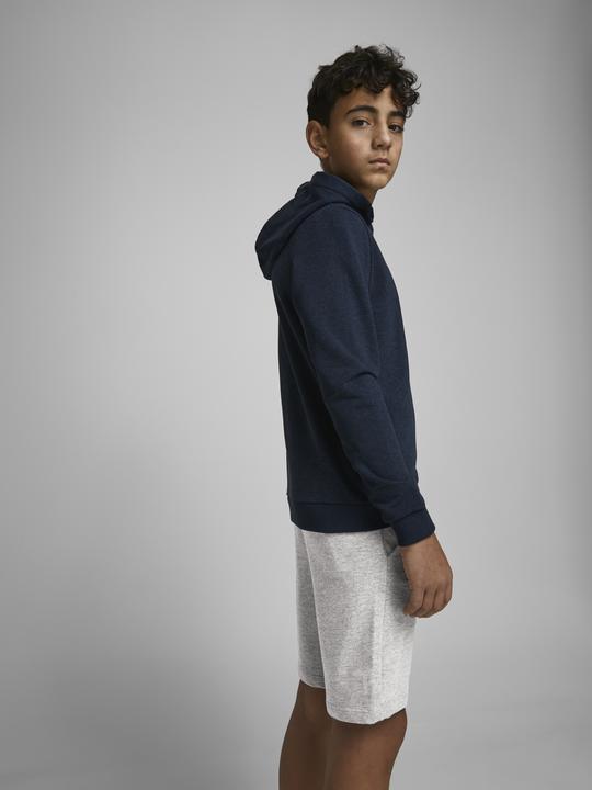 Image du produit Jack & Jones Shorts (140)