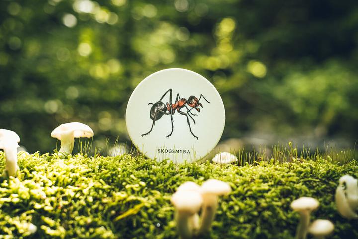 Produktbild Ninja Print Skogen (Memoryspel)