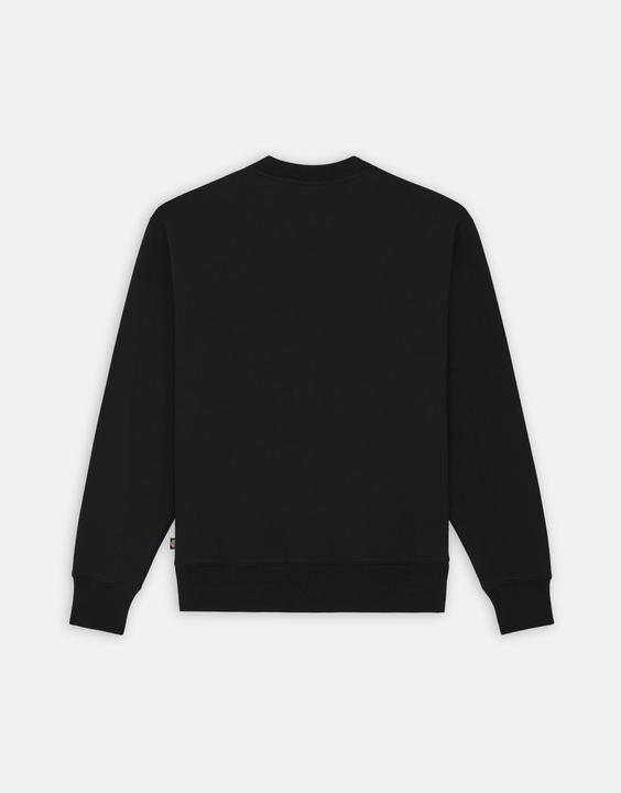 Immagine prodotto Dickies Felpa Summerdale (S)