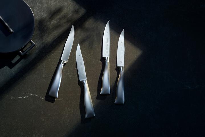 Actual product image WMF Carving Set Grill Set Meat Knife Meat Fork 2pcs BBQ Stainless Steel (32 cm)