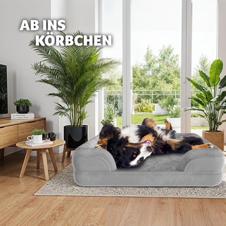 Actual product image tectake Kimba (Dog)