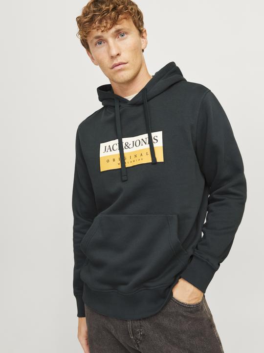 Actual product image Jack & Jones Jorfrederiksberg Box Sweat Hood Sn (S)