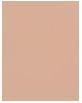 Actual product image Shiseido Synchro Skin Self-Refreshing Custom Finish Powder Foundation (160 Shell)