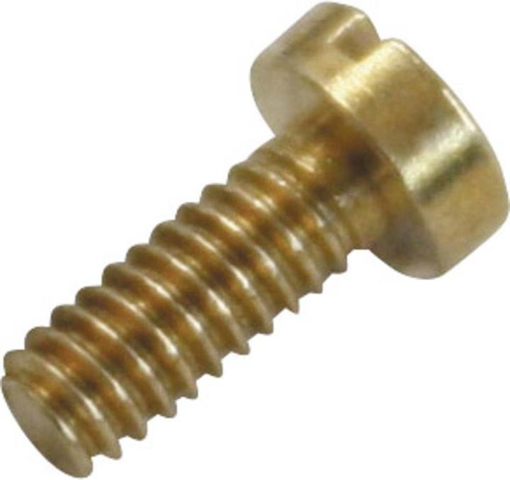 Actual product image Sol Expert Brass Micro Screws M3-5 2