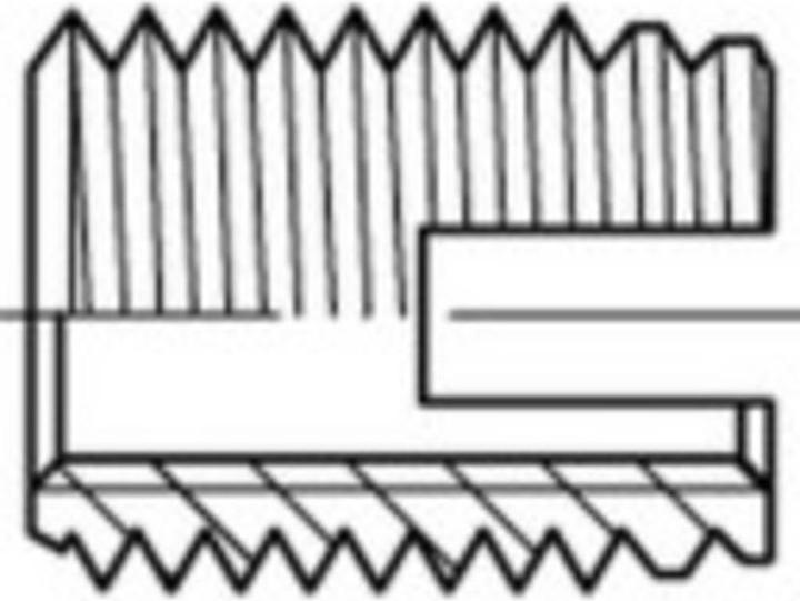 Reyher Inserts filetés M10 18 mm 25 S (25 Vis par pièce)