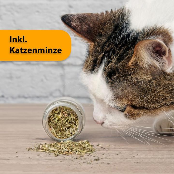 Immagine prodotto Hermex Giocattoli per gatti (Giocattolo per gatti)