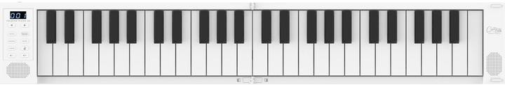 Immagine prodotto Blackstar Pianoforte pieghevole 49 (49 Chiavi)