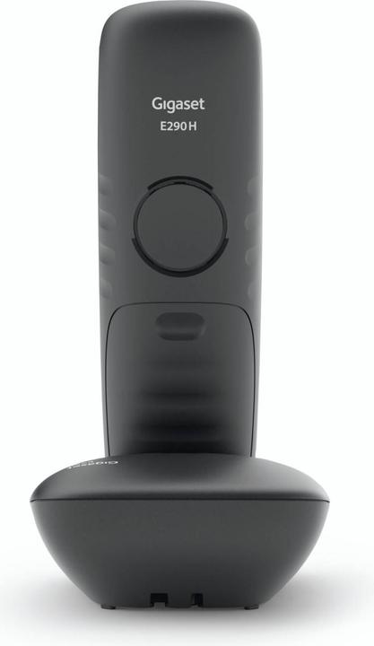 Actual product image Gigaset E290 Duo (DE-Version)