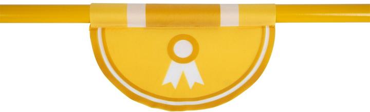 Actual product image small foot Obstacle set