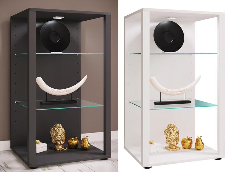 Actual product image VCM Wooden Glass Display Case Collecting Showcase Glass Display Case Floor Standing Showcase Glasol XL (52 x 44 x 90 cm)