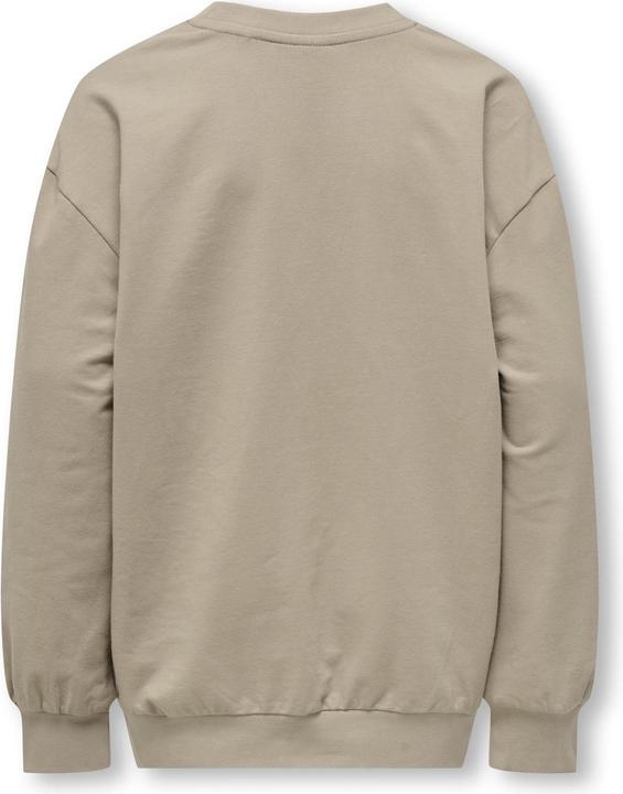 Image du produit Only & Sons Junior OSJROAD Sweatshirt Sweatshirt (134)