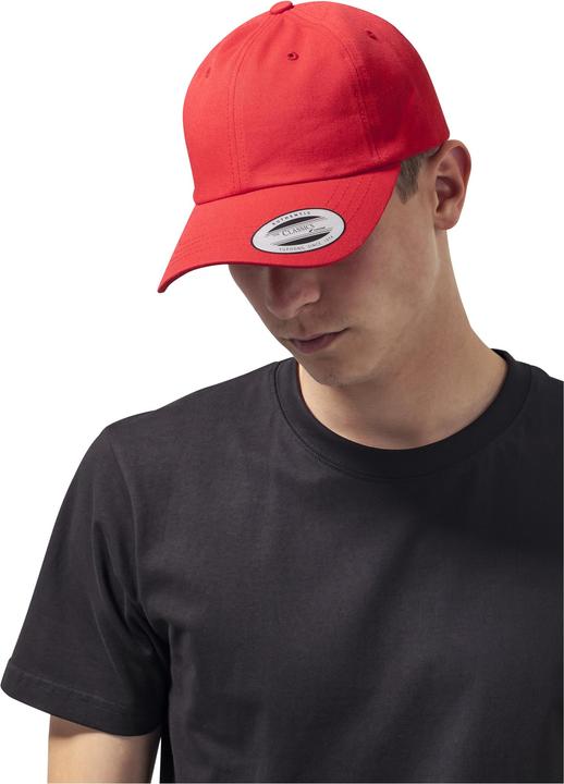 Flexfit Low Profile Cotton Twill (One Size)