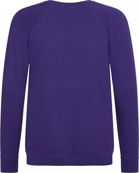 Actual product image Awdis Academy school sweatshirt round neck (pack of 2) (164)