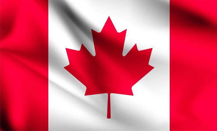 Image du produit Amscan Drapeau du Canada en polyester
