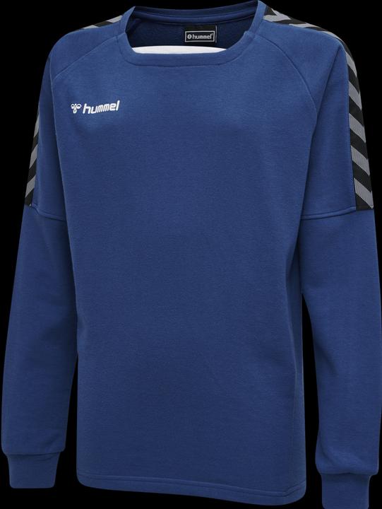 Actual product image hummel Authentic Kids Training Sweat (116)