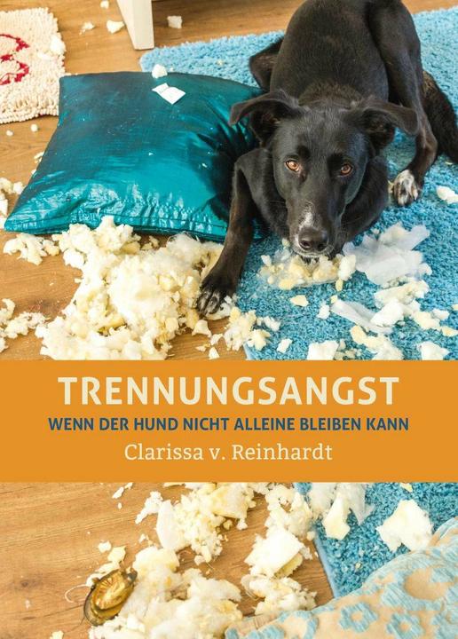 Immagine prodotto Trennungsangst (Tedesco, Clarissa von Reinhardt, 2016)